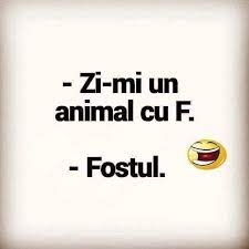 Ele nu ispira deloc aer, ci isi misca trupul usor spre pamant. 130 Bancuri Seci Èi Amuzante Ca SÄ Razi Pe SÄturate