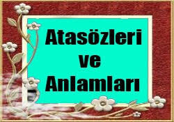 Kedi Uzanamadigi Cigere Mundar Dermis Anlami Huzur Sayfasi Islami Bilgi Kaynaginiz