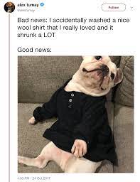 These 14 clean and funny animal memes are meant to make your day. 100 Pet Memes That Will Make You Lol Over And Over Again