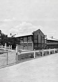 Brown and White by Ivanhoe Grammar School