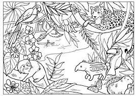 Animales De La Selva Brasilena Paisajes De La Selva Animales De La Selva Imagenes De La Selva Dibujos para colorear de animales de la selva. animales de la selva brasilena