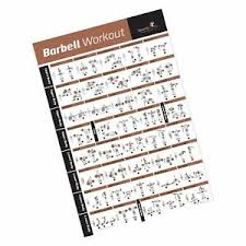 Details About Barbell Workout Exercise Poster Laminated Home Gym Weight Lifting Chart B
