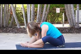 We did not find results for: Yoga With Melissa 160 Wildlife Of Florida Dolphin Alligator And Tortoise Pose Intermediate Yoga