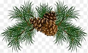 They make lovely additions to a winter wonderland or an enchanted forest theme decorations. Pinecone Png Images Pngegg