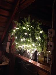 Boston Fern Lit With Christmas Lights Simple And Elegant Outdoor Christmas Lights Christmas Lights Holiday Decor