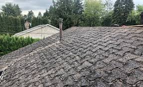 8404 sterling st ste a. Sure Shield Roofing Your Roofing Specialist