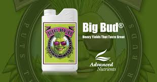 Big Bud Bloom Booster Advanced Nutrients