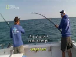 La utilizarea codurilor de reîncărcare cu opțiune primești beneficiile corespunzătoare opțiunilor disponibile în oferta națională telekom romania mobile la momentul utilizării lor. Hellas Sat 3 Hellas Sat 4 39 E Hdtv Frequenze Kingofsat