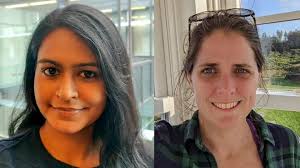 Researchers hope tracking zooplankton from space will help endangered  whales