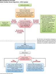 Part 5 Adult Basic Life Support And Cardiopulmonary Resuscitation Quality Circulation