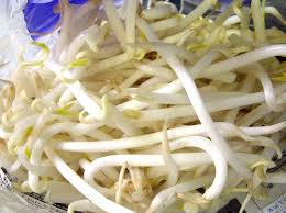 Image result for Vigna radicans