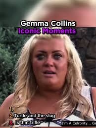 Gemma Collins Loses Fortune at Cheltenham