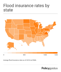 Flood insurance is available in all 50 states to communities that participate in the national flood insurance program. How Much Does Flood Insurance Cost In 2021 Policygenius