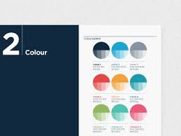 Colour Palette Brandbook Brand Guidelines Design Brand Color Palette Brand Book