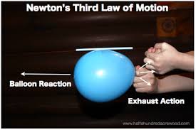 Newton S Laws Of Motion Simplified Half A Hundred Acre Wood Newtons Laws Of Motion Newtons Laws Newtons Third Law Of Motion