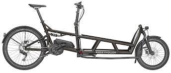 Pin On This Full Suspension Cargo E Bike Hauls A Family Of 4