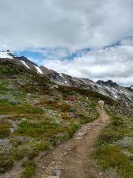 We did not find results for: Cascade Pass Sahale Arm Trail North Cascades National Park U S National Park Service