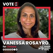 Help out your local candidate by volunteering