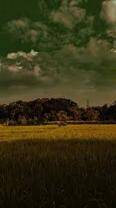 Dihalaman ini anda akan melihat gambar rumah sederhana pinggir sawah yang bagus! Sebutir Padi Daun Kilat