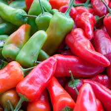 These are all suitable for growing both indoors and outdoors. Sweet Pepper Gypsy Capsicum Annuum My Garden Life