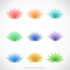 Variety Of Colorful Lotus Flowers In 2020 Flower Illustration Pink And White Background Leaf Illustration