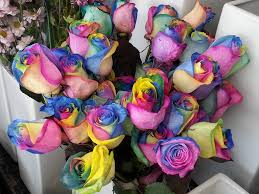 Check spelling or type a new query. Facebook