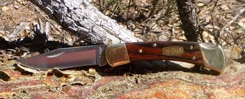 buck 110 folding hunter