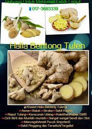 Air rebusan daun salam punya khasiat yang sangat dahsyat bagi kesehatan. Khasiat Kegunaan Halia Pure Bentong Ginger Powder Facebook