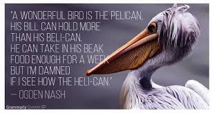 Cute Limerick About My Favourite Bird Famous Limericks Nonsense Poems Limerick