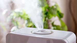 Humidificadores: cuál es mejor, cómo funcionan y qué tener en cuenta al comprar uno | Tecnología - ComputerHoy.com
