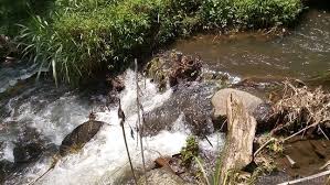 Maybe you would like to learn more about one of these? Jalan Menuju Coban Siuk Malang Picture Of Coban Siuk Malang Tripadvisor