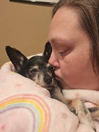 Loss of a Beloved German Shepherd