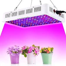 Maybe you would like to learn more about one of these? Growing On A Budget Best Cheap Led Grow Lights For Marijuana Oregongrowcabinets Com