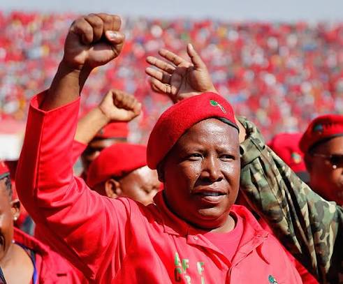 Julius Malema's Tailored Revolution