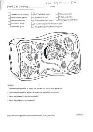 Print answer key pdf take now schedule copy. Plant Cell Coloring Worksheet Printable Pdf Download