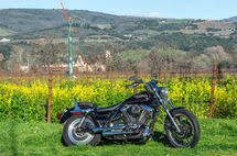 Image result for Vivid Black 1994 FXLR