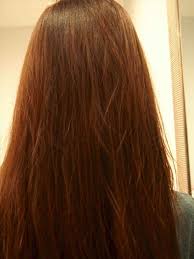 Hortaleza Hair Color Copper Hair Color Elumen Hair Color