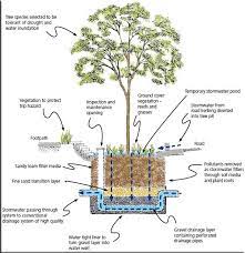 rain garden rain garden diagrams rain garden design rain garden rain water collection system