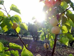 Sunt roman si ma mandresc cu tara mea! Natura Si Frumusetea Ei Bonita12