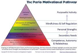 Go Beyond Maslow S Hierarchy Of Needs With The Pario Motivational Pathway Which Sets Out The Key Steps To Self Acu Job Motivation Motivation Theory Motivation