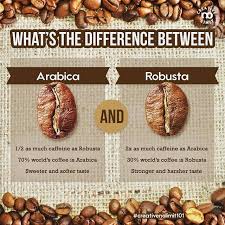 Did You Know That All The Coffee You Drink Falls Into Two Different Categories Arabica And Robusta Are Tw Coffee Recipes Espresso Drink Recipes Gourmet Coffee