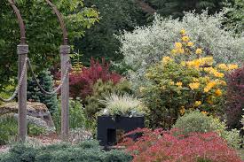 The deer generally leave these plants alone, but when there's not enough to eat, they might get nibbled. Deer Resistant Containers Before After Le Jardinet