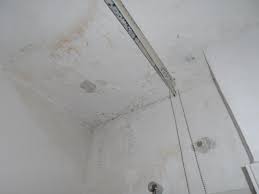 Was sie bei einem wasserschaden im bad tun müssen wenn decke oder wand plötzlich nass werden, oder aber der boden des badezimmers zentimeterhoch unter wasser steht, müssen sie schnell handeln. Schimmel Durch Wasserschaden Was Nun Mietminderung