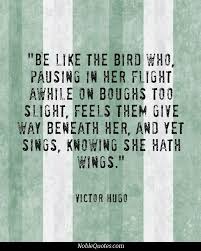Poetry By Victor Hugo Wings Victor Hugo Quotes Fly Quotes Victor Hugo