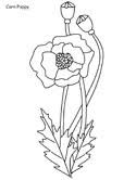 Fresh orchid flower coloring sheet gallery. Realistic Flowers Coloring Pages