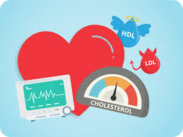 Here's a breakdown of ldl cholesterol levels and health: Totul Despre Colesterol Synevo