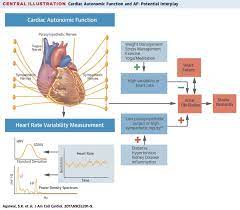Atrial Fibrillation Af And Hrv Myithlete