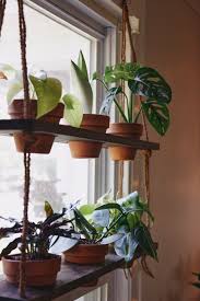 Please share in the comments below. Diy Hanging Plant Shelf Living The Gray Life