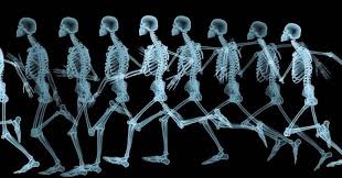 Pixie dust, magic mirrors, and genies are all considered forms of cheating and will disqualify your score on this test! Where On The Body Are The Talus Bones Trivia Questions Quizzclub