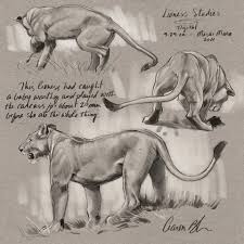 Aaron Blaise Big Cats Art Animal Drawings Animals Artwork